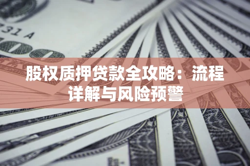 北京股权质押贷款全攻略：流程详解与风险预警