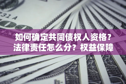 北京如何确定共同债权人资格？法律责任怎么分？权益保障技巧揭秘！