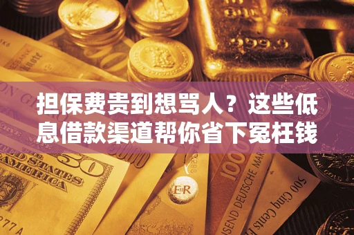 北京担保费贵到想骂人？这些低息借款渠道帮你省下冤枉钱