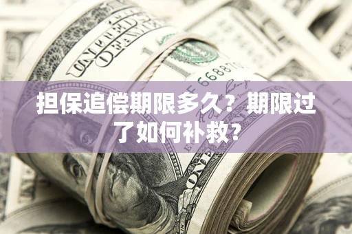 北京担保追偿期限多久？期限过了如何补救？