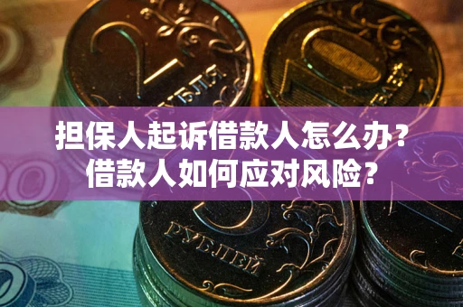 北京担保人起诉借款人怎么办？借款人如何应对风险？
