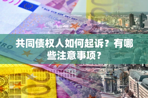 北京共同债权人如何起诉？有哪些注意事项？